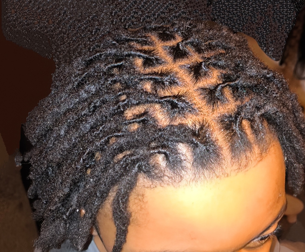 Dread Wash And Retwist
