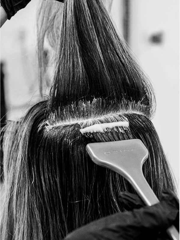 Root Refresh