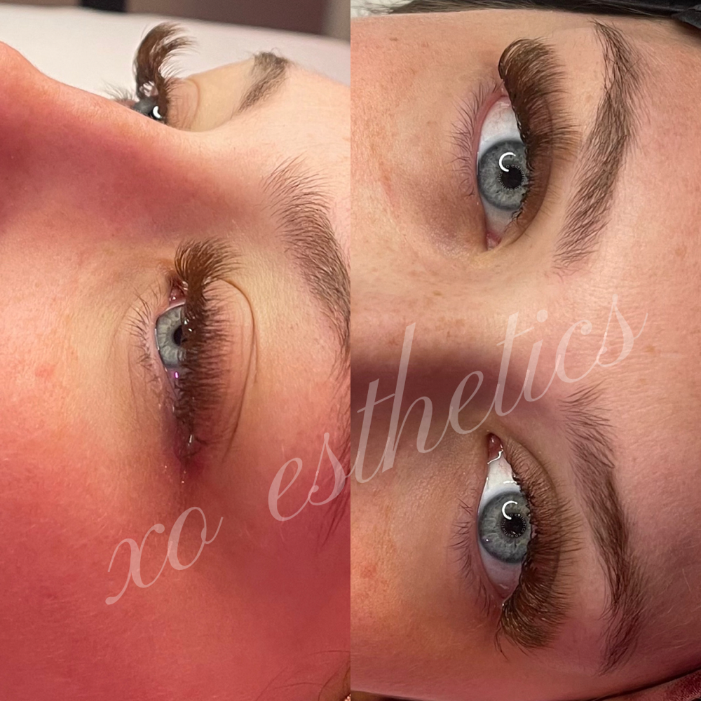Brown Volume Set