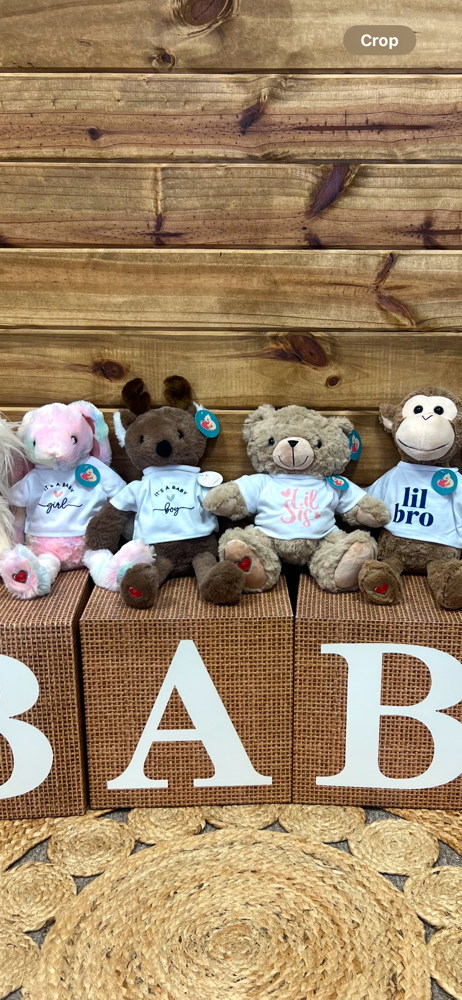 HeartBeat Pal With T-Shirt at HELLO BABY 3D/4D LLC in Deer Park, TX