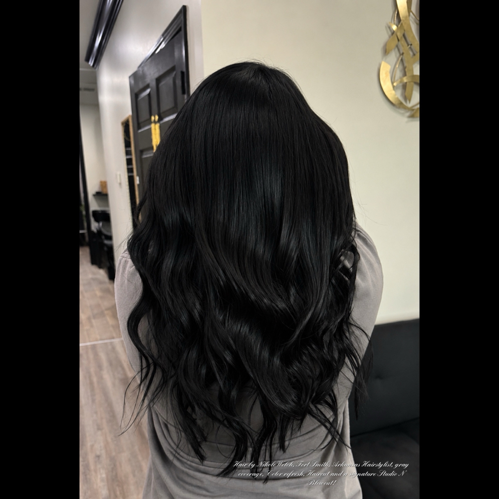 Color Retouch- No Blonding at Studio N in Fort Smith, AR