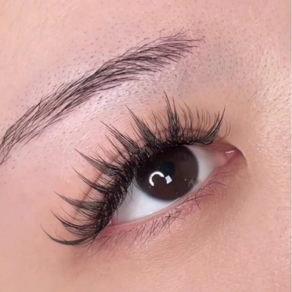 Anime Full Set at S&H Beauty Co. in Clemmons, NC
