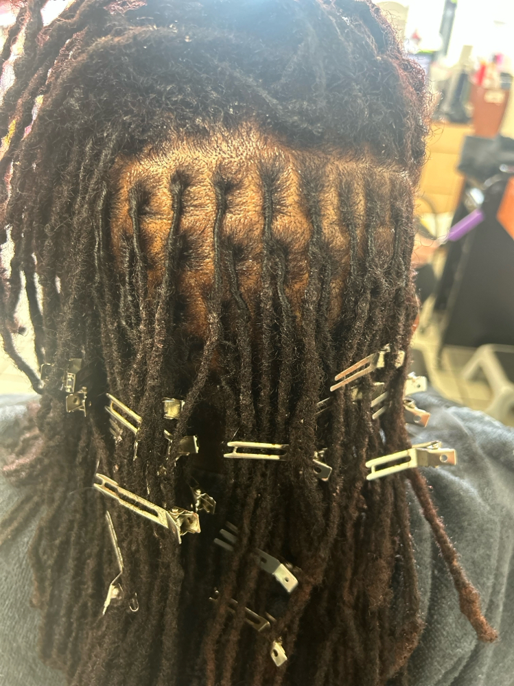 Starter Locs