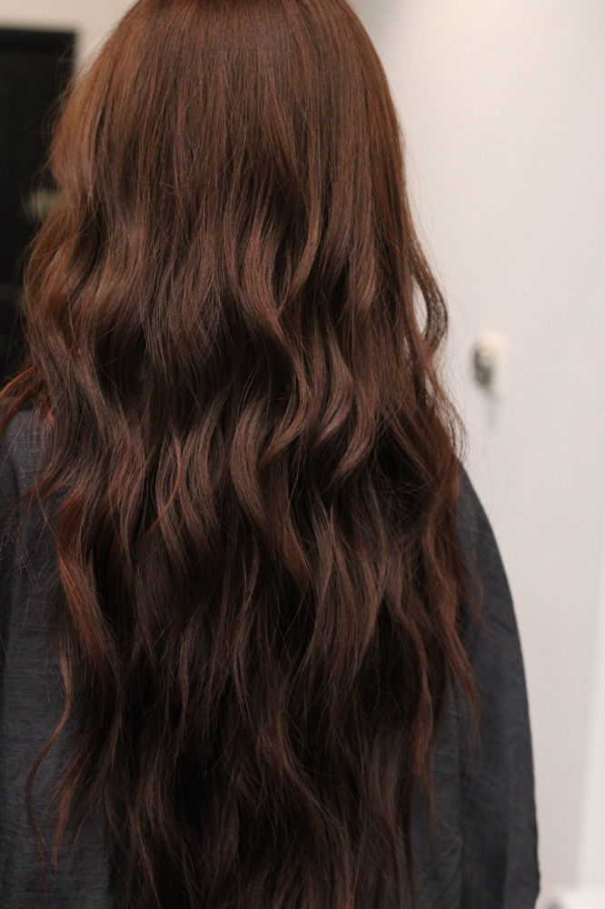 Tone/ Gloss + Haircut