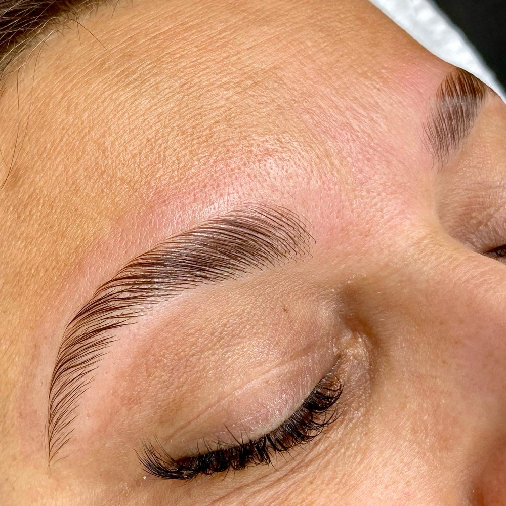 Eyebrow Lamination
