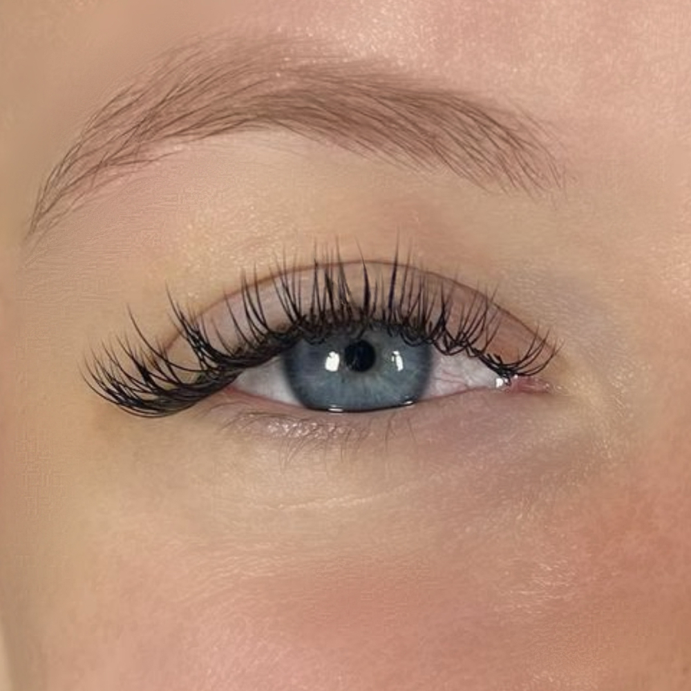Classic Fill (2-3wk)