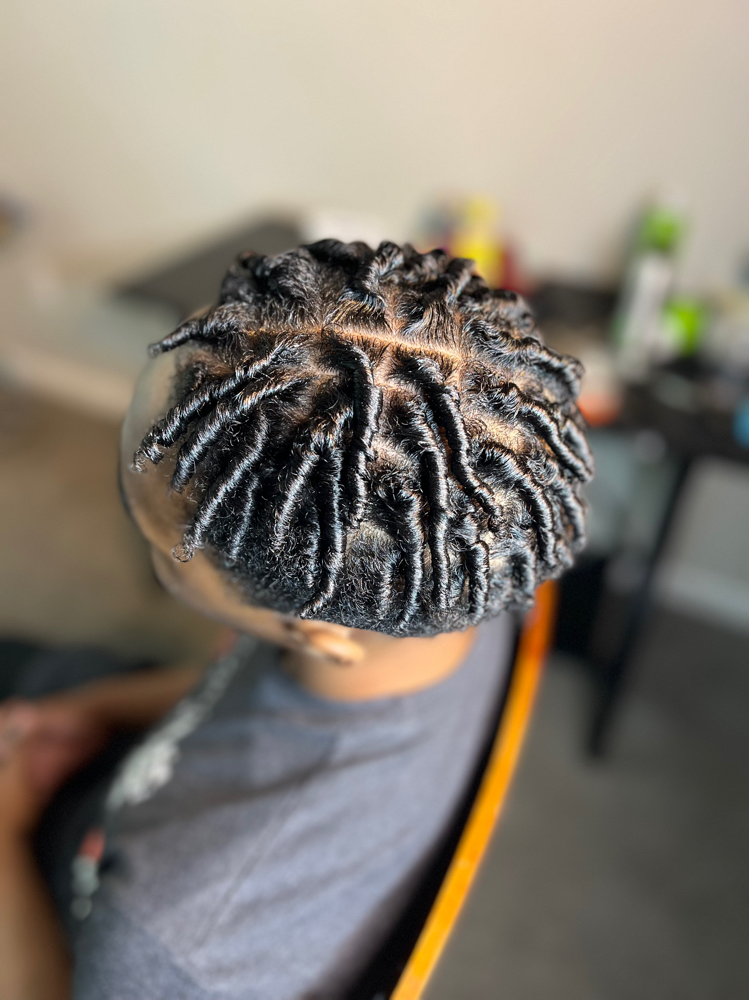 Starter Locs (Coils)