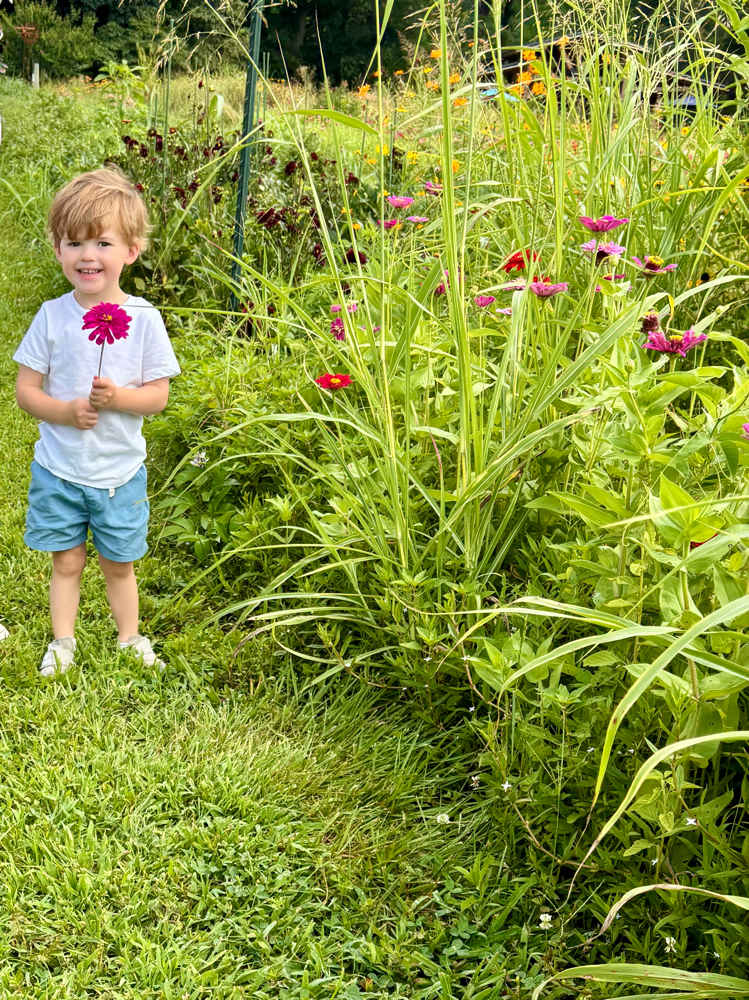 Color Up Charge at Voila Salon in Roswell, GA