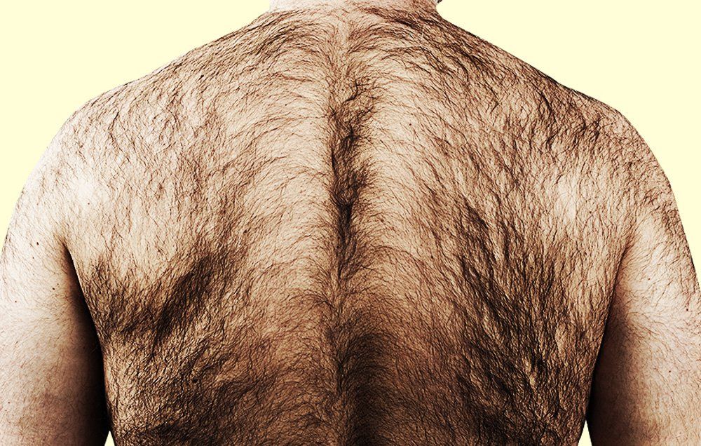 Full Back
