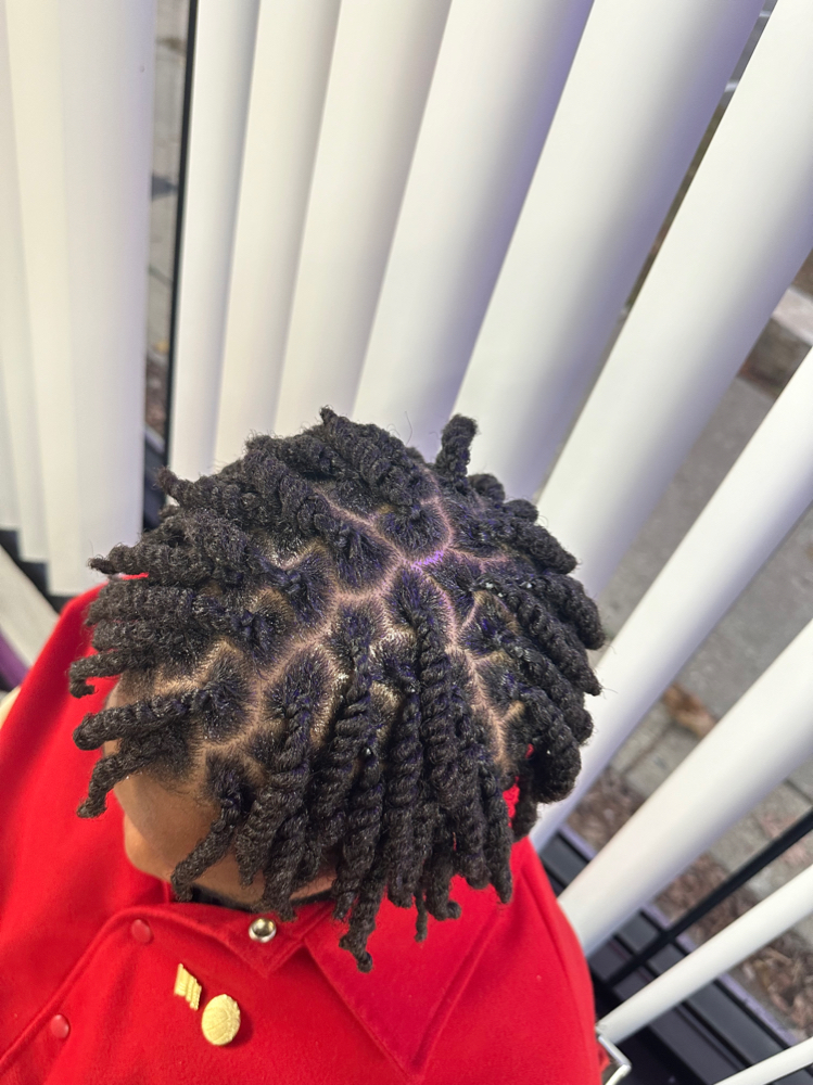 Two Strand Twist at Lee The Hair Magician LLC in Detroit, MI