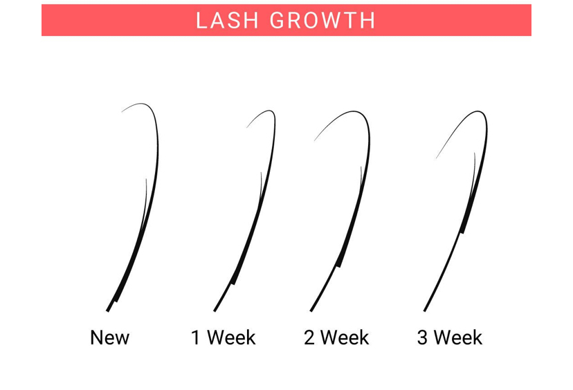 1.5-2Week Fill