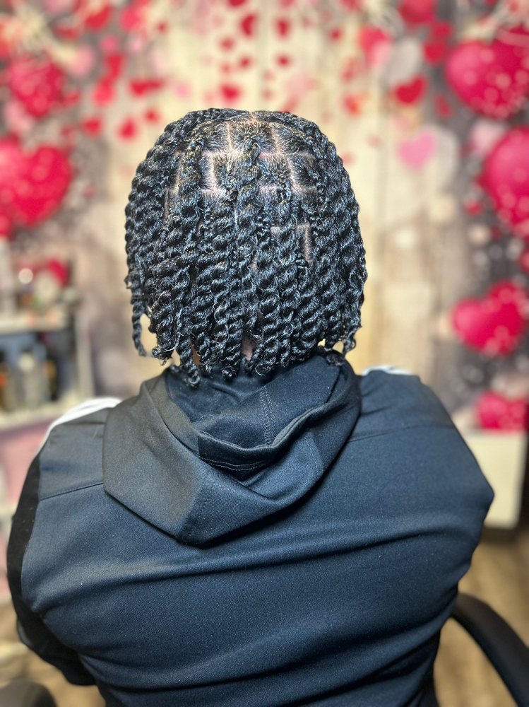 2 Strand Twist Style(Adult)13+ at BraidsByChardonnay in Milwaukee, WI