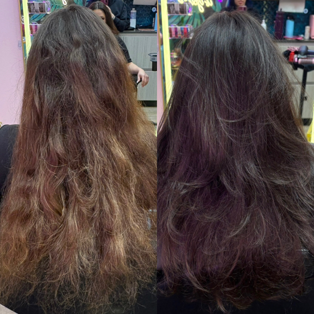 Demi Permanent Color (Toner/Glaze) at Hair Design By TIFFANY Rafalko in Clearwater, FL