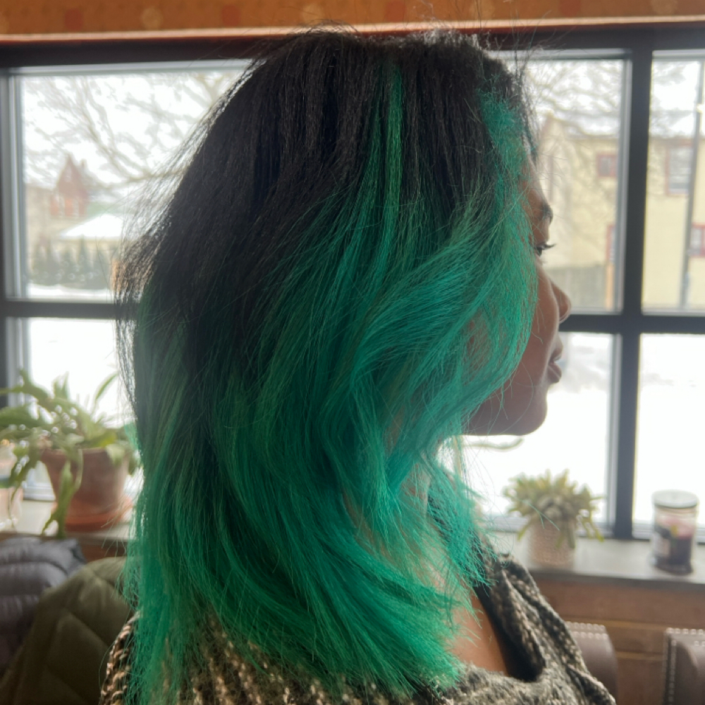 Silk Press | Deep Condition | Trim at Danayé Marie in Auburn, NY