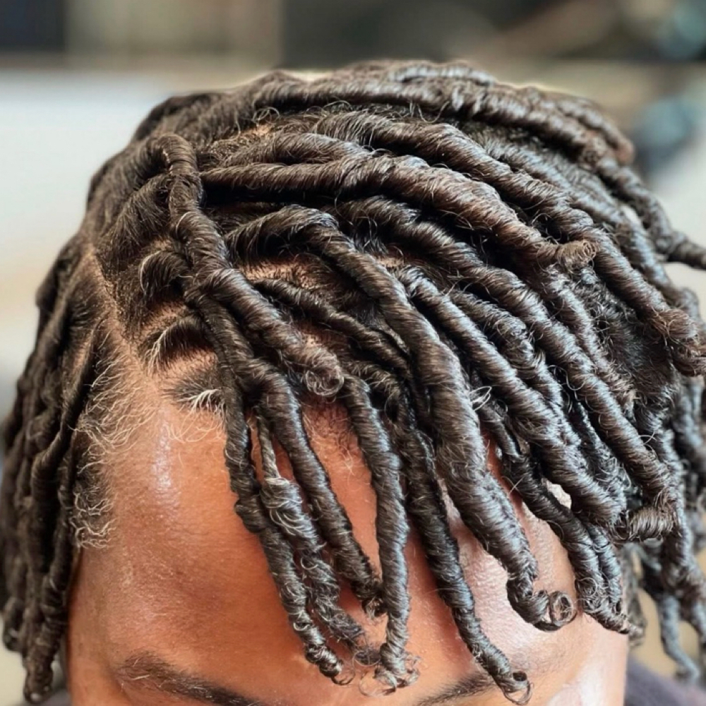 Adult Starter Locs at The Loc Shop LLC in Mishawaka, IN