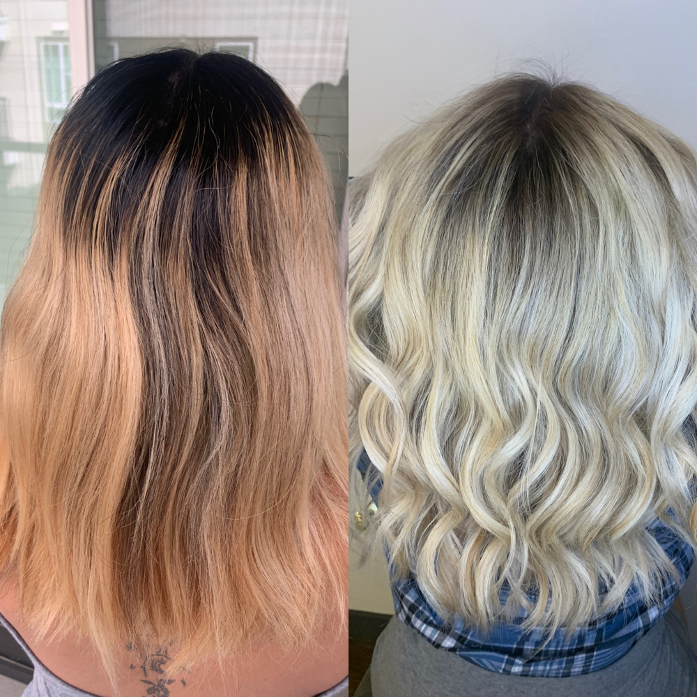 Full Highlight
