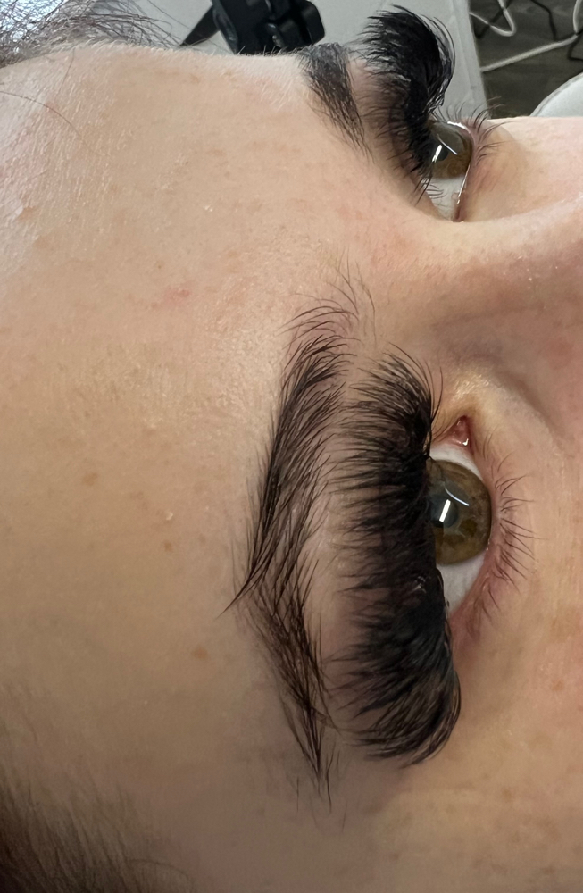 Volume Eyelash Full Set