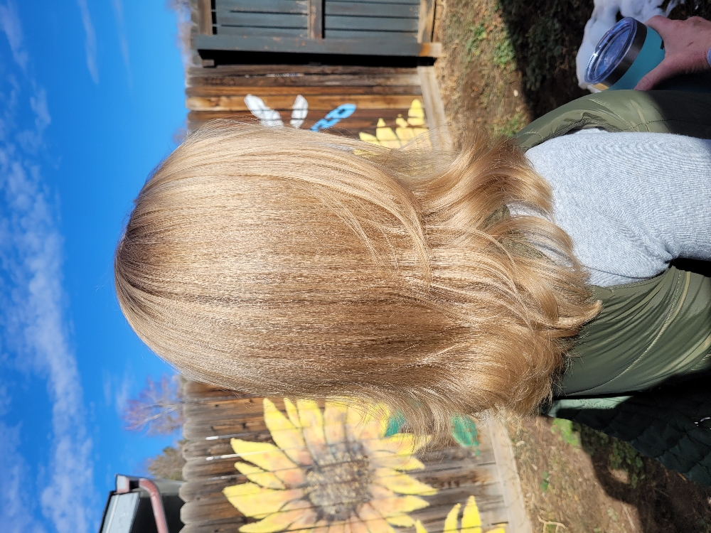 Full Head Highlights