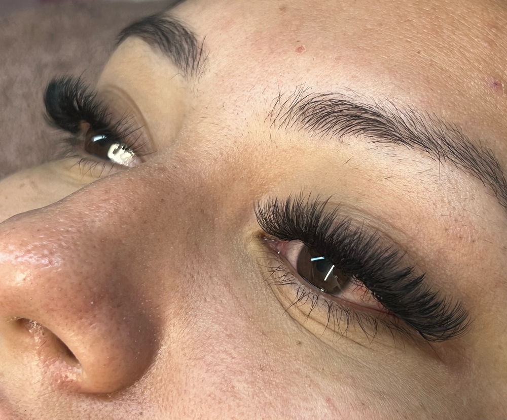 Volume Lashes
