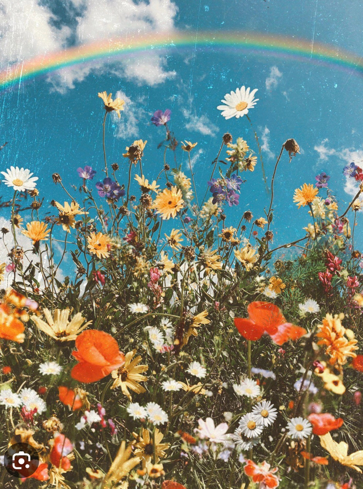 Hair Color Consultation