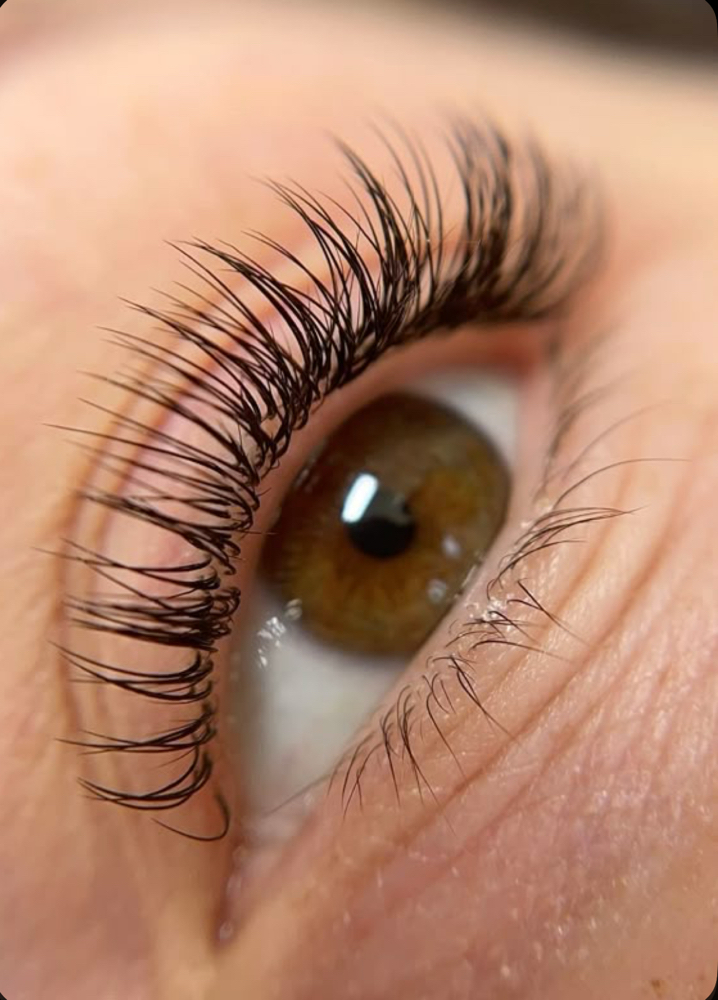Classic Eyelash Fill