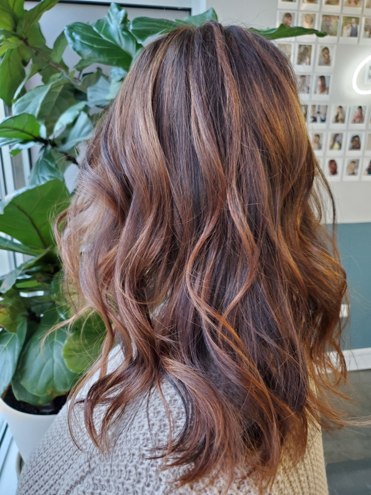 Partial Balayage Highlights