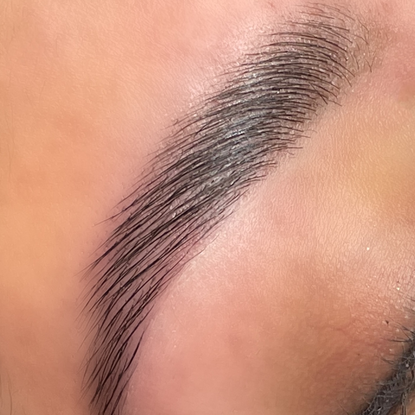 Brow Lamination & Tint at Eterno Artistry in Houston, TX