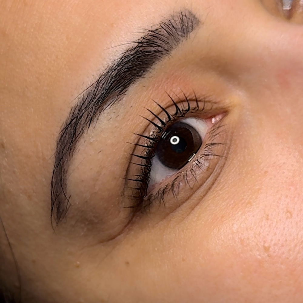 Lash Enchancment