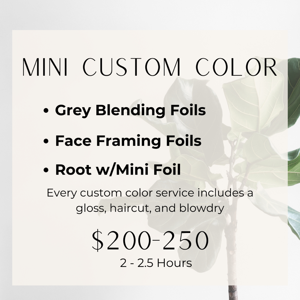 2.5 Hour at Rylari Hair Studio in North Andover, MA