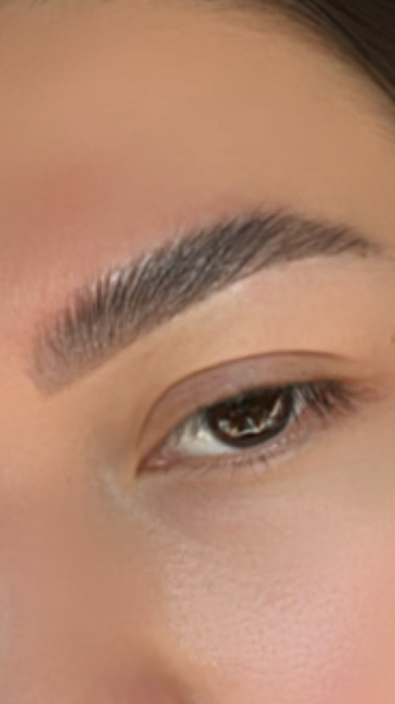 Signature Brow Sculpt