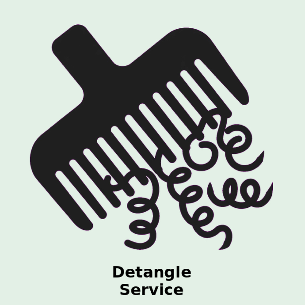 Detangle Service at Lety Bruce in Jacksonville, FL
