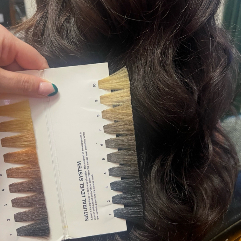 Color Consult at Kimberly Rebekah Hair in Columbus, OH