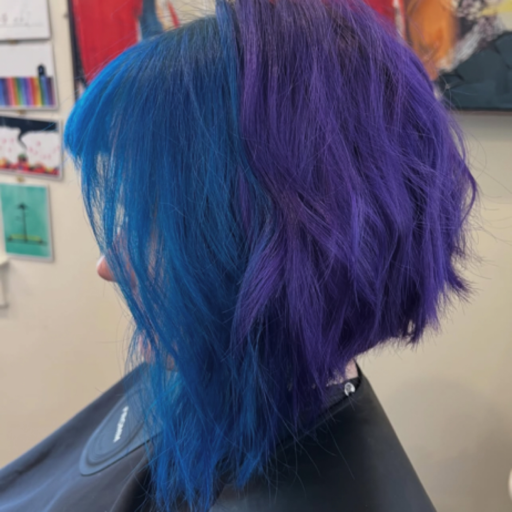 Vivd Color - Prices Vary at Jamie Dajuan Salon in Savannah, GA