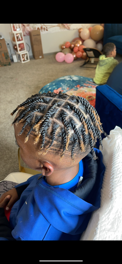 Two Strand Twist/ Plaits