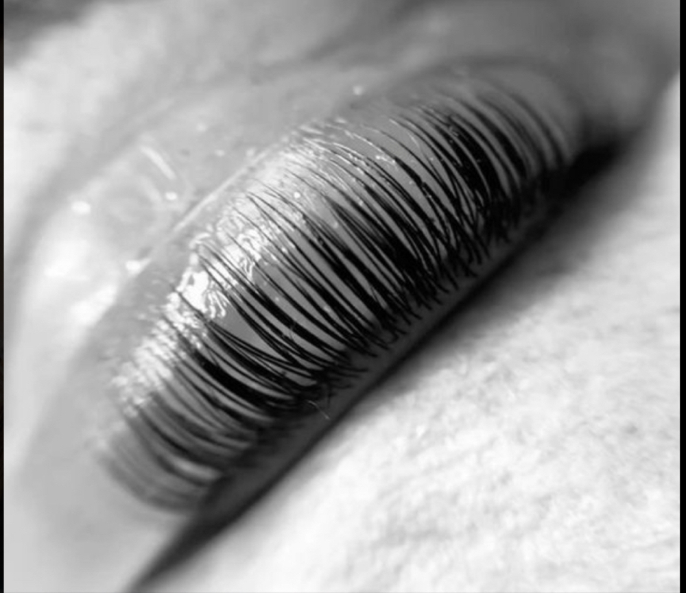 Lash Lift & tint at kiley cogan in seymour, TN
