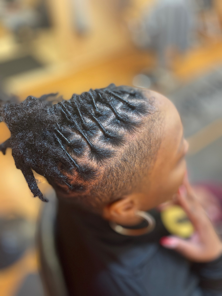 Retwist Locs( Up To 55) Retwist ONLY