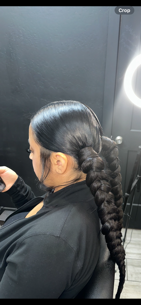Braided Ponytail