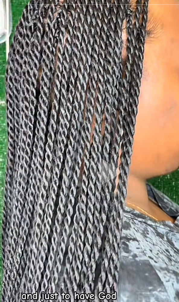 Seneglese Twist  /price Based On Length And Size