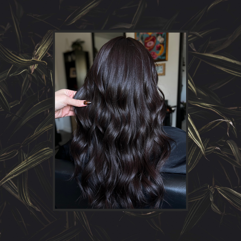Base Color at Alchemy Hair Studio HKY in Hickory, NC