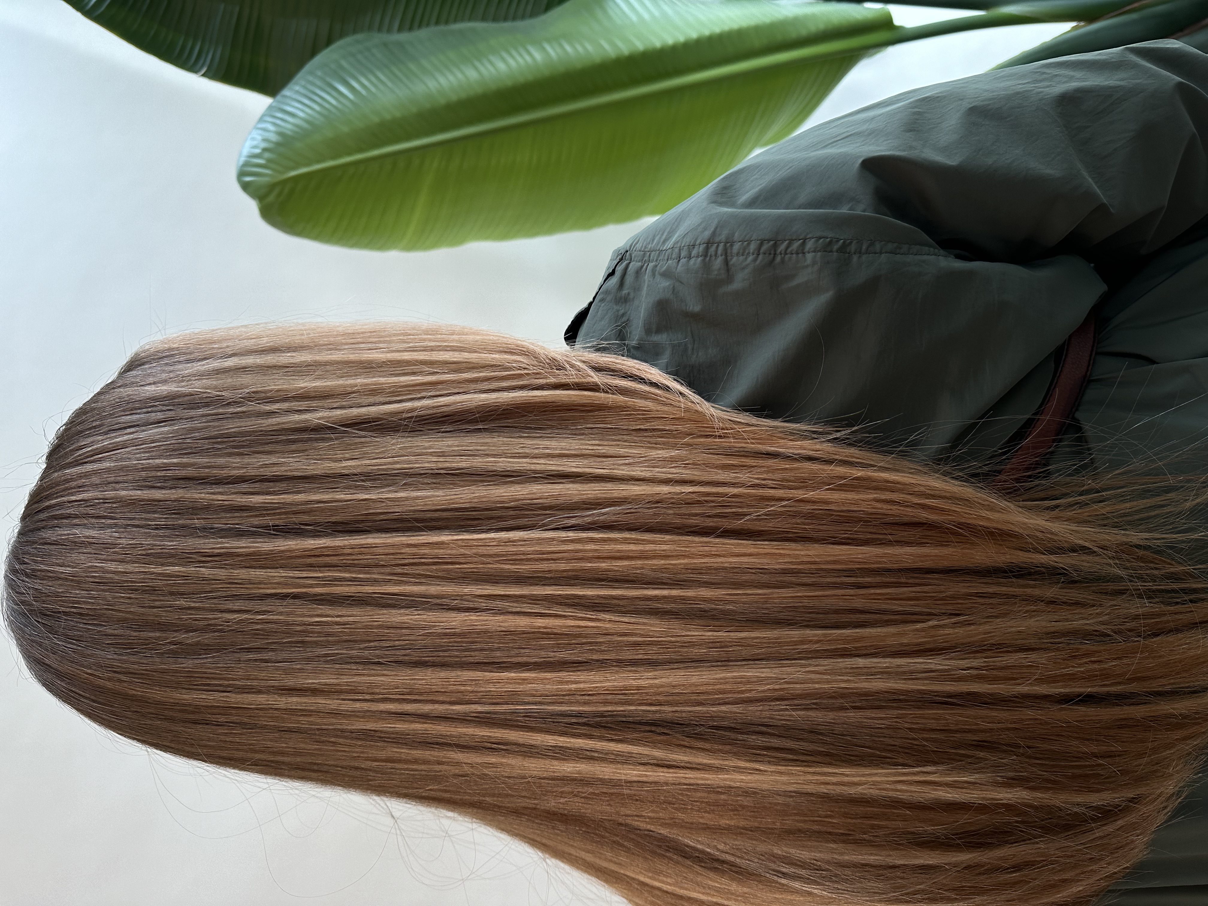 THE SUNKISSED BRONDE / REDHEAD
