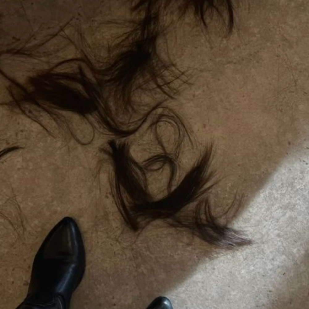 Dry Haircut at Blondish by Elli in Terre Haute, IN