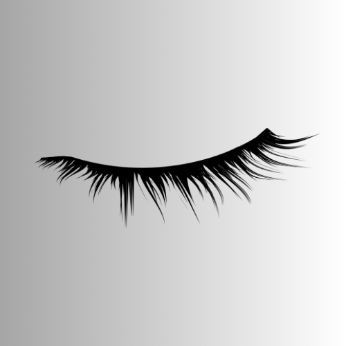 Volume Lashes