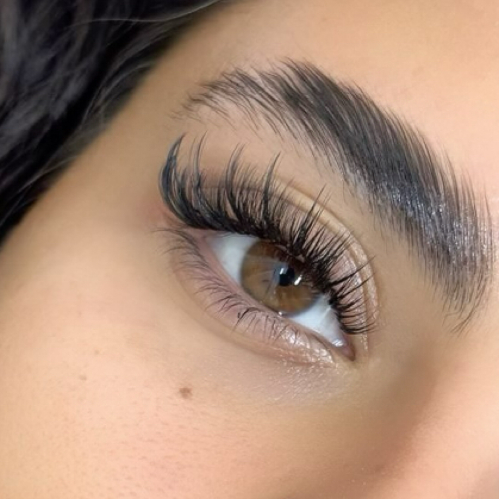Hybrid Wispy at Idealbeautee_official in Tampa, FL