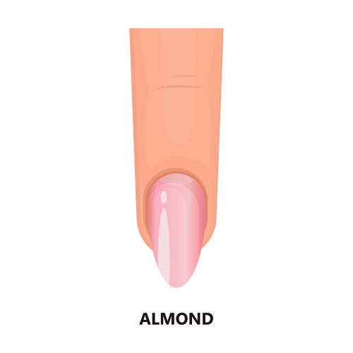 Nail shape