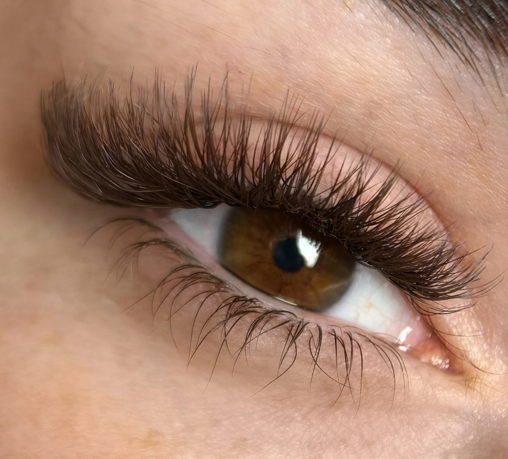 Brown Lashes