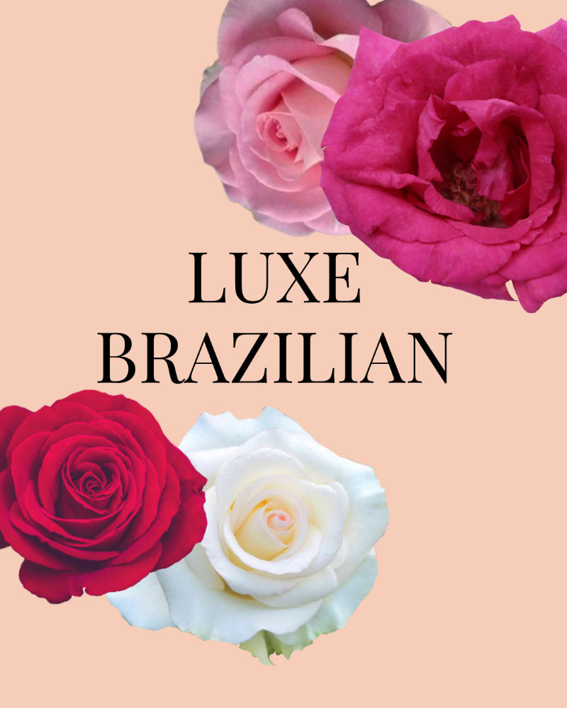 LUXE BRAZILIAN
