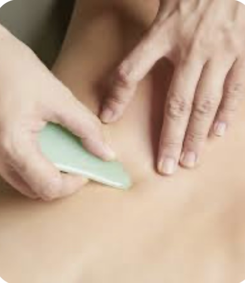 Guasha Massage 90min