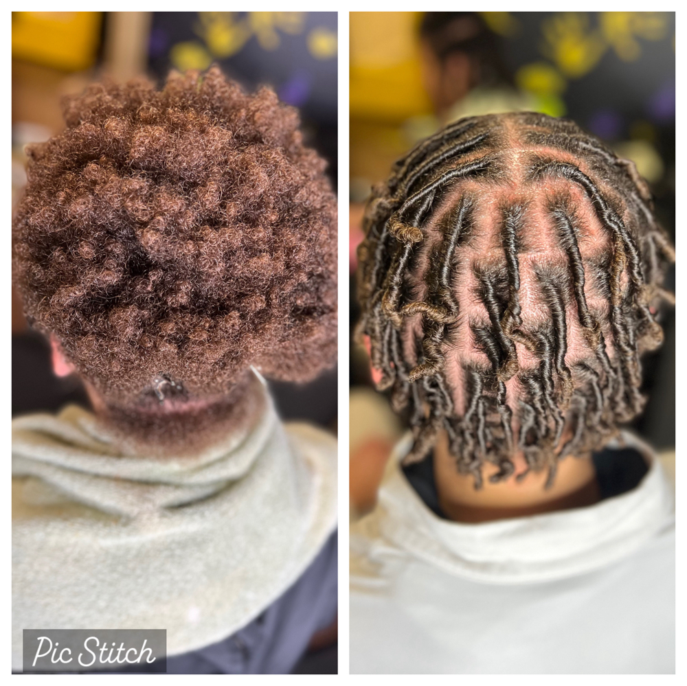 Starter Locs