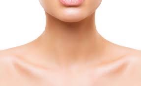 Neck