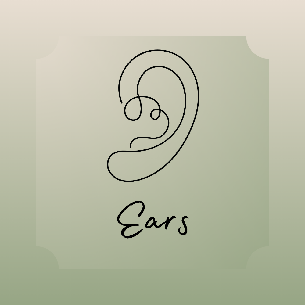 Ears